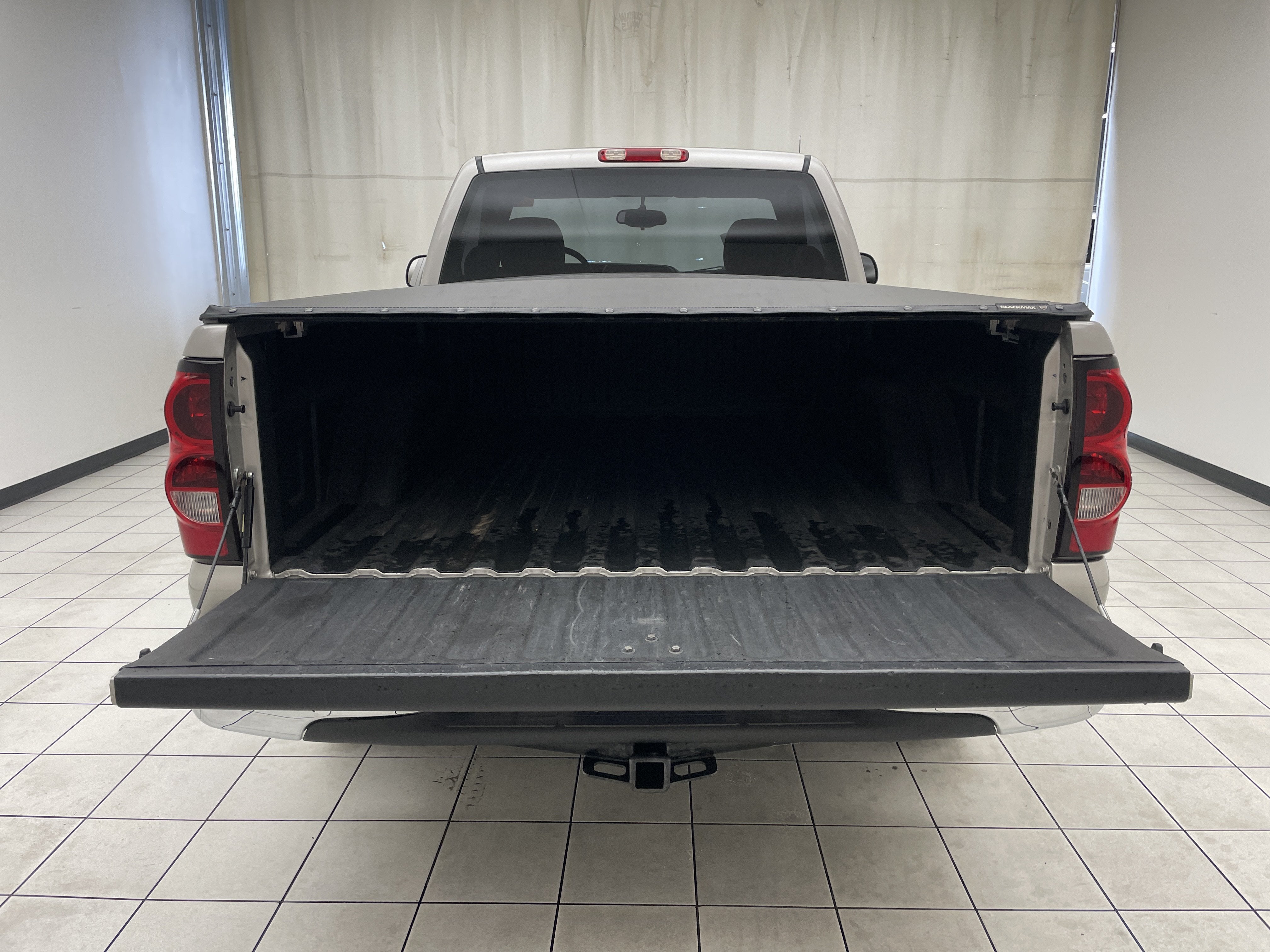 2006 Chevrolet Silverado 1500 Work Truck